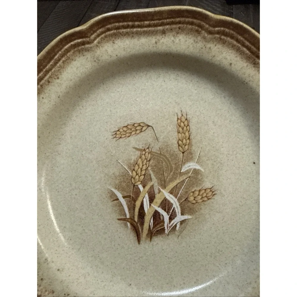 Mikasa‎ Whole Wheat E8001 Granola Plates Set of 3 Brown Rim Wheat Japan